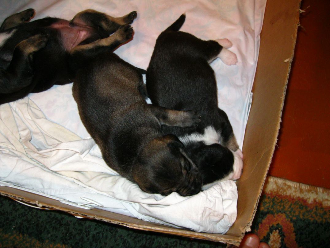 Станислав Стас фотография #47