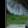 Микола Кліщ фотография #47 (источник - https://vk.com/id37188173)