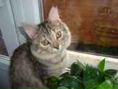 Фотография Катаргиной Оксаны