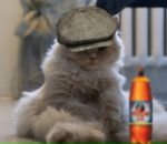 Фотография Михайлова Дениса