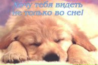 Валєрчик Соколовський фотография #48 (источник - https://vk.com/id140344293)