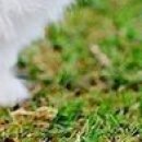 Юля Матвійчук фотография #28 (источник - https://vk.com/id135907201)