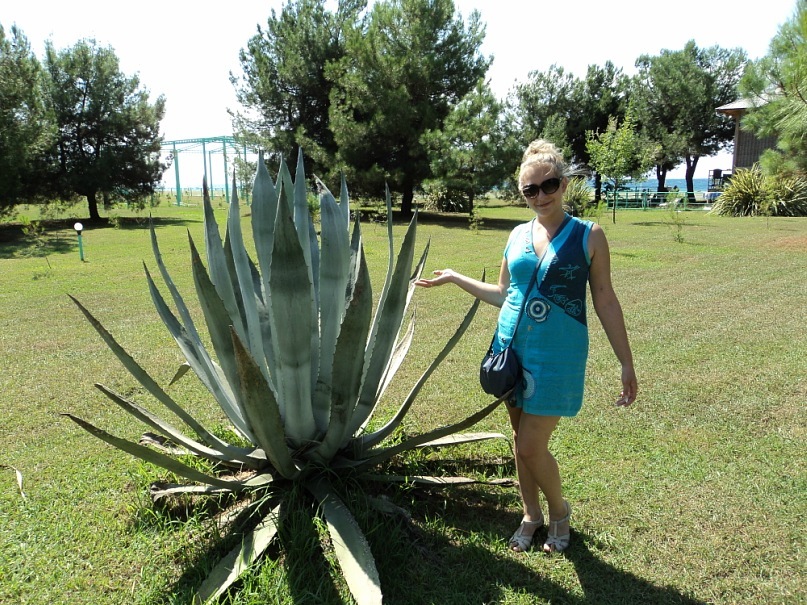 Елена Шубина фотография #37