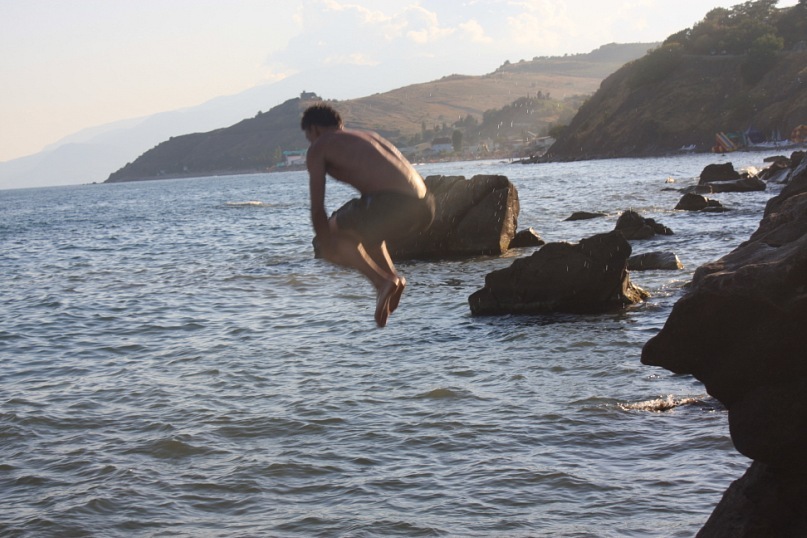 Phasma Morulus фотография #49