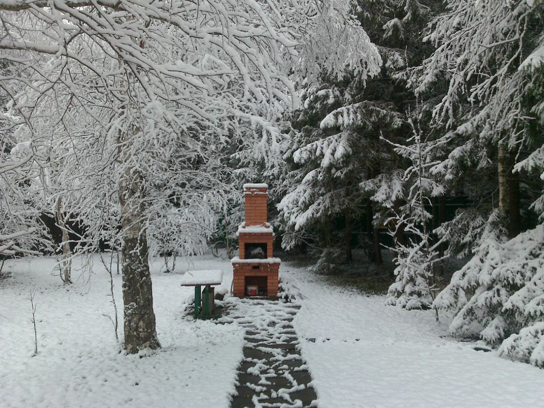 Дмитрий Витько фотография #50