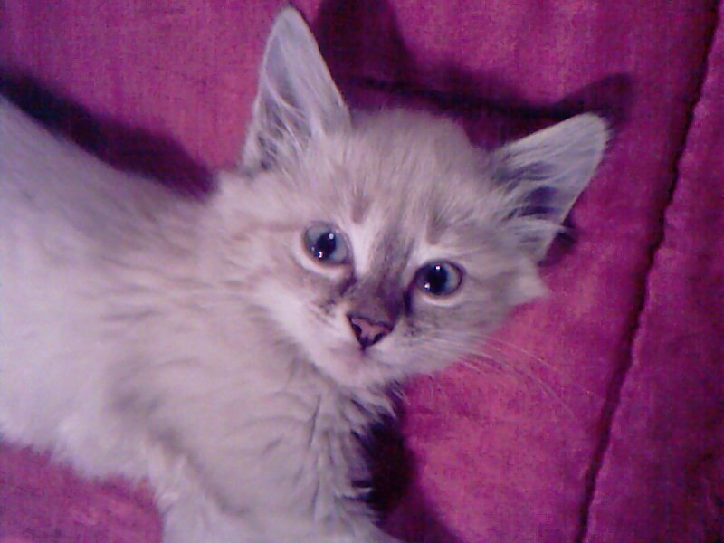 Софья Федотова фотография #31