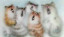 Фотография Остроуховой Натальи