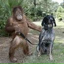 Вадік Ковальський фотография #7 (источник - https://vk.com/id89878773)