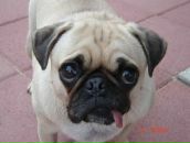 Фотография Кольцова Арсена