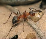 Юрєц Мурашка фотография #6 (источник - https://vk.com/id126150736)