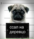 Фотография Сахарова Алексея