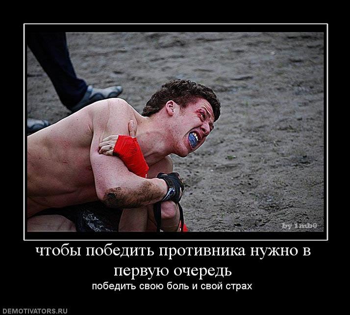 Dima Rostkov фотография #3