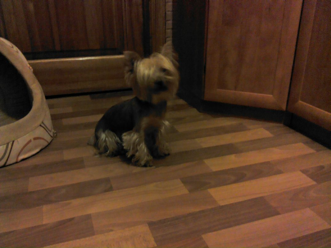 Антон Пейтер фотография #45