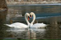 Фотография Полозковой Анны