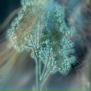 Міша Байструк фотография #6 (источник - https://vk.com/id126110395)