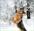 Фотография Клевцовой Надежды