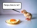 Вадім Венгер фотография #31 (источник - https://vk.com/id162148013)
