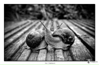 Фотография Пустоветовой Евгении