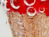 Михаил Райлентер фотография #43 (источник - https://vk.com/id82195393)