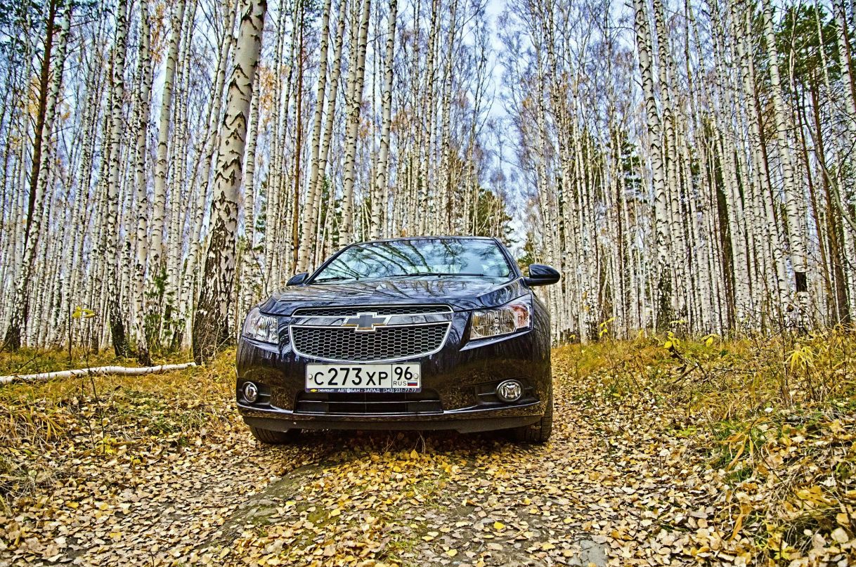 Денис Давлетов фотография #21