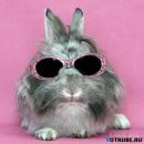 Фотография Зайченко Екатерины