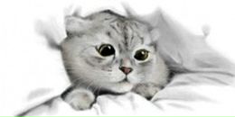 Фотография Шубиной Натэллы