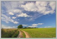 Фотография Грибовой Анастасии