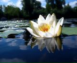 Ліля Leeloo фотография #22 (источник - https://vk.com/id3632028)