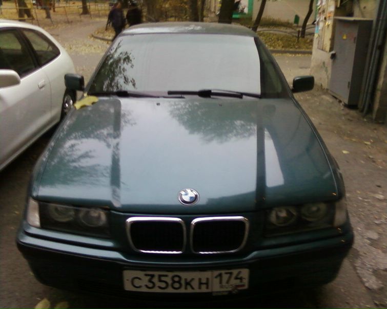 Дмитрий Чехлов фото №16