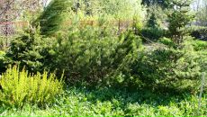 Рогнеда Степанова фотография #40 (источник - https://vk.com/id8756748)