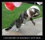 Михаил Васильев фотография #48 (источник - https://vk.com/id3498290)