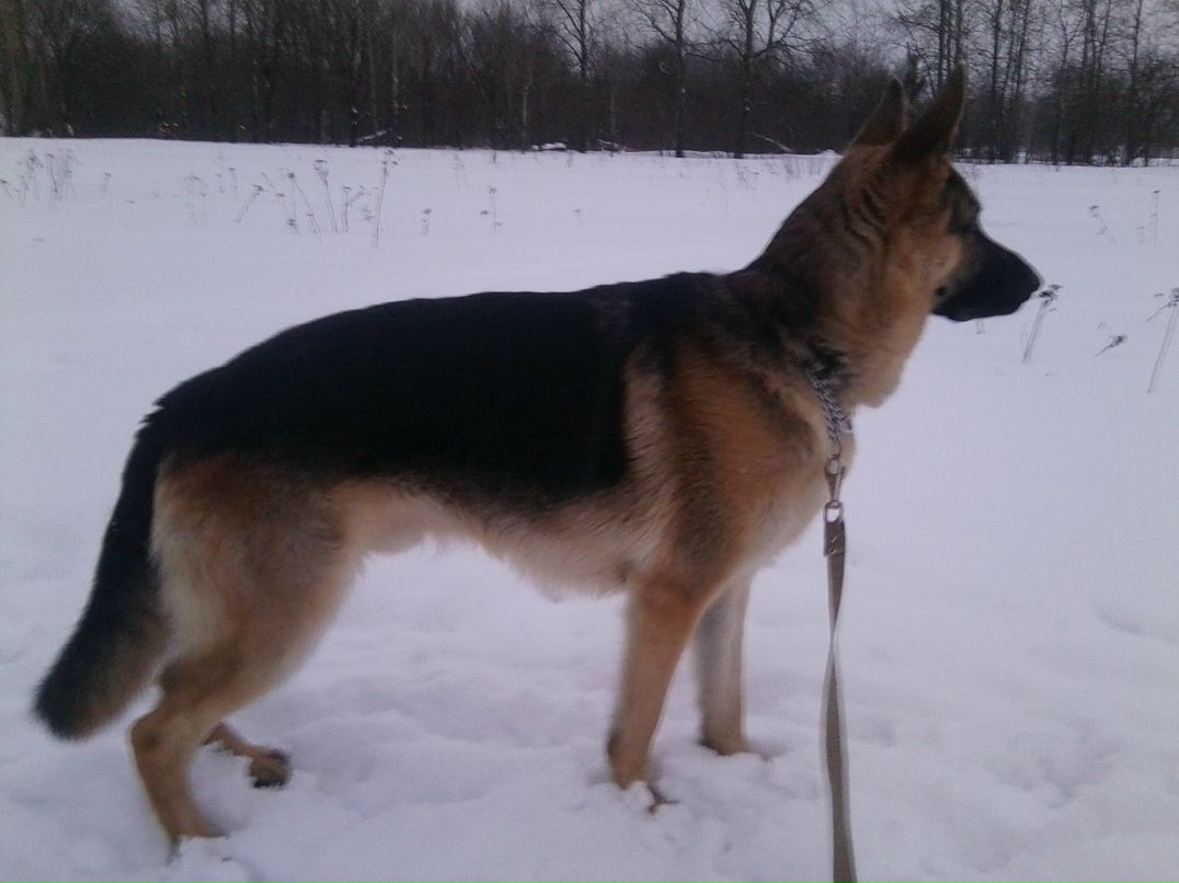 Андрей Кубышкин фотография #42