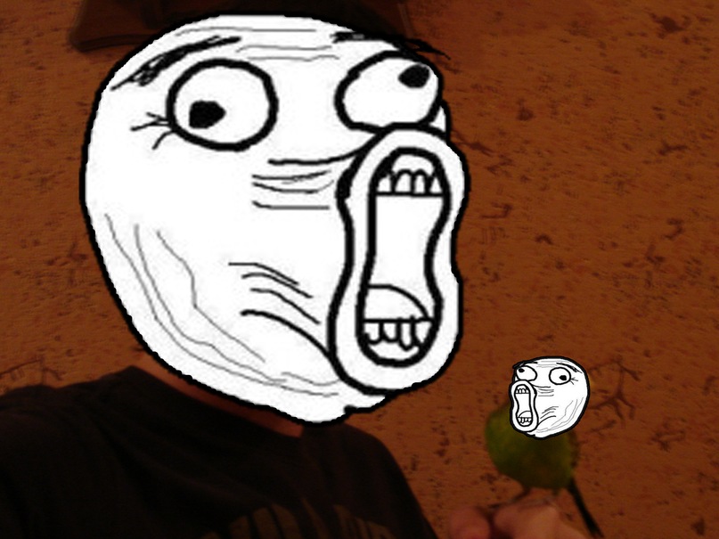 Артём Фёдоров фотография #6