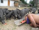 Фотография Невитова Евгения