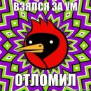 Жора 1:0 фотография #40 (источник - https://vk.com/id21491901)