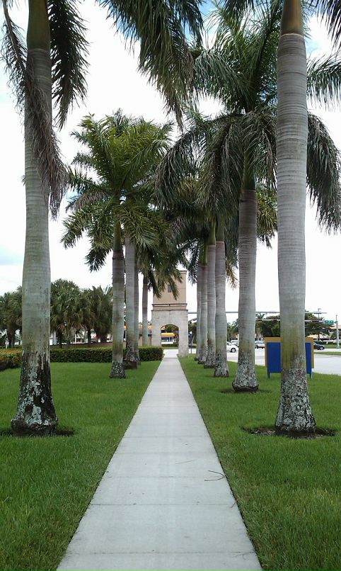 Александр Нетепенко фотография #17