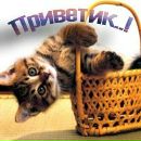 Андрій Мацула фотография #4 (источник - https://vk.com/id157956073)