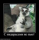 Андрій Рудик фотография #50 (источник - https://vk.com/id58725800)