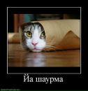 Віталій Ковальчук фотография #5 (источник - https://vk.com/id112988783)