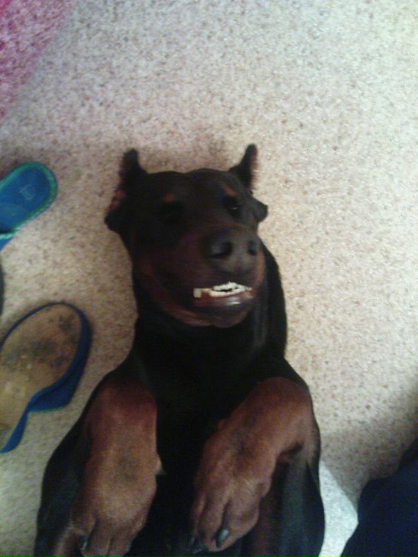 Кирилл Василенко фотография #15