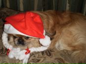 Фотография Дойченко Наташи