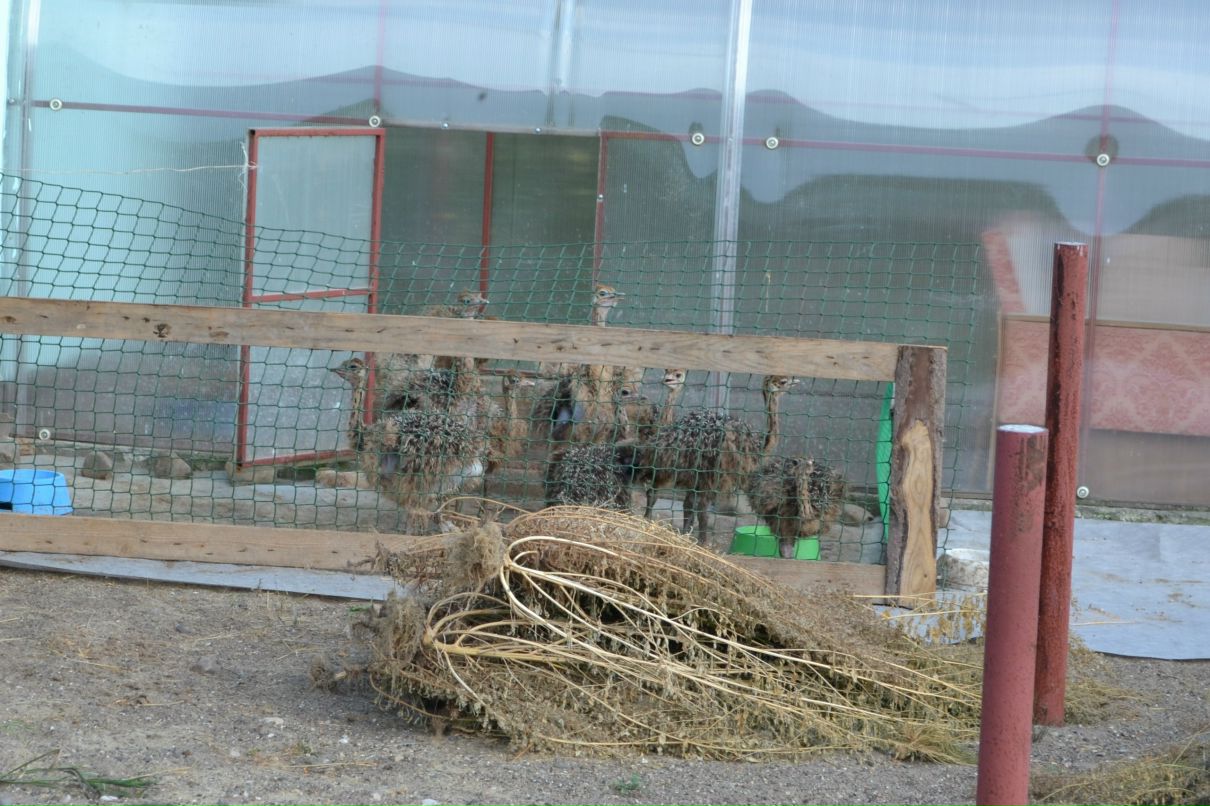 Константин Басалаев фотография #17