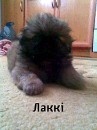 Вікторія Мельник фотография #27 (источник - https://vk.com/id88971293)