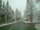 Ольга Доценко фотография #16 (источник - https://vk.com/id2171917)