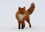 Фотография Родикова Сергея