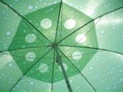 Віта Гончар фотография #16 (источник - https://vk.com/id91125372)