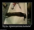 Фотография Старковой Наташи