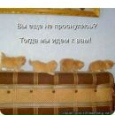 Лілія Гамчук фотография #36 (источник - https://vk.com/id141696532)