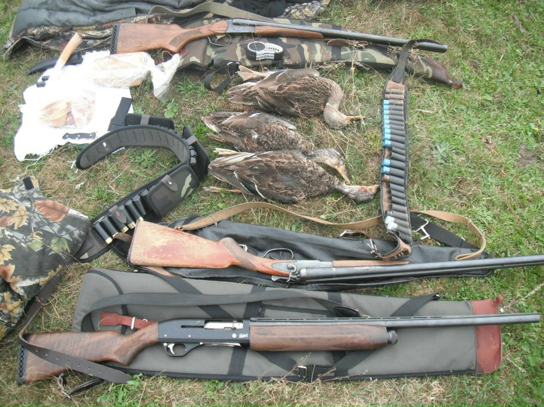 Дмитрий Малинкин фотография #5