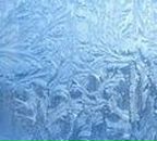 Фотография Даниловой Дины